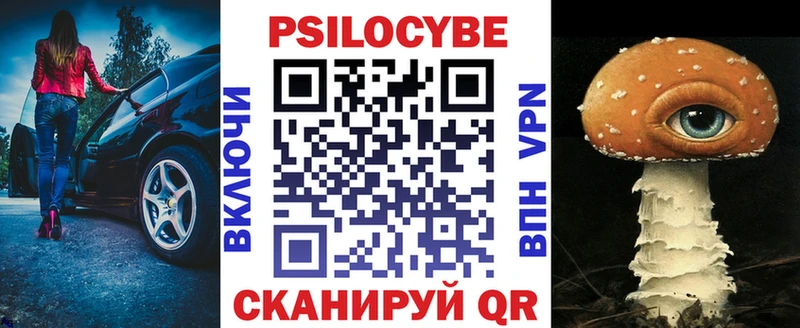 Купить  Усть-Джегута  Псилоцибиновые грибы Psilocybine cubensis 